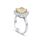 6,53 ct. Diamant Fantasie Ring