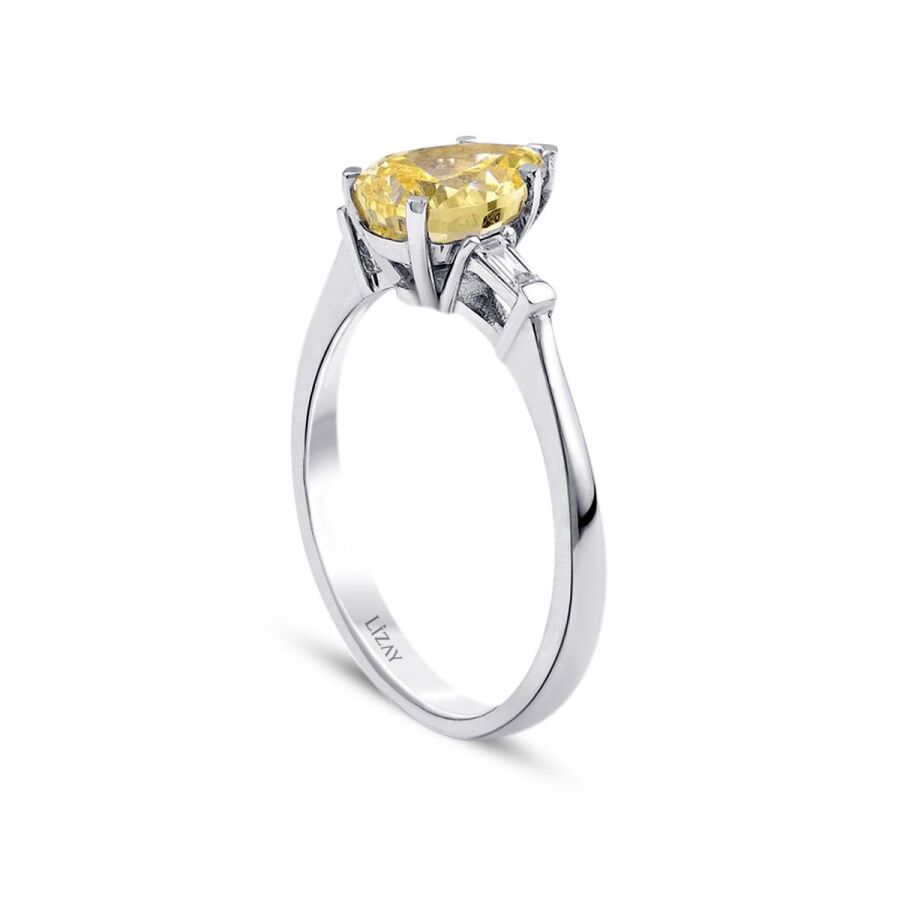2.66 ct. Diamant Fantasie Ring