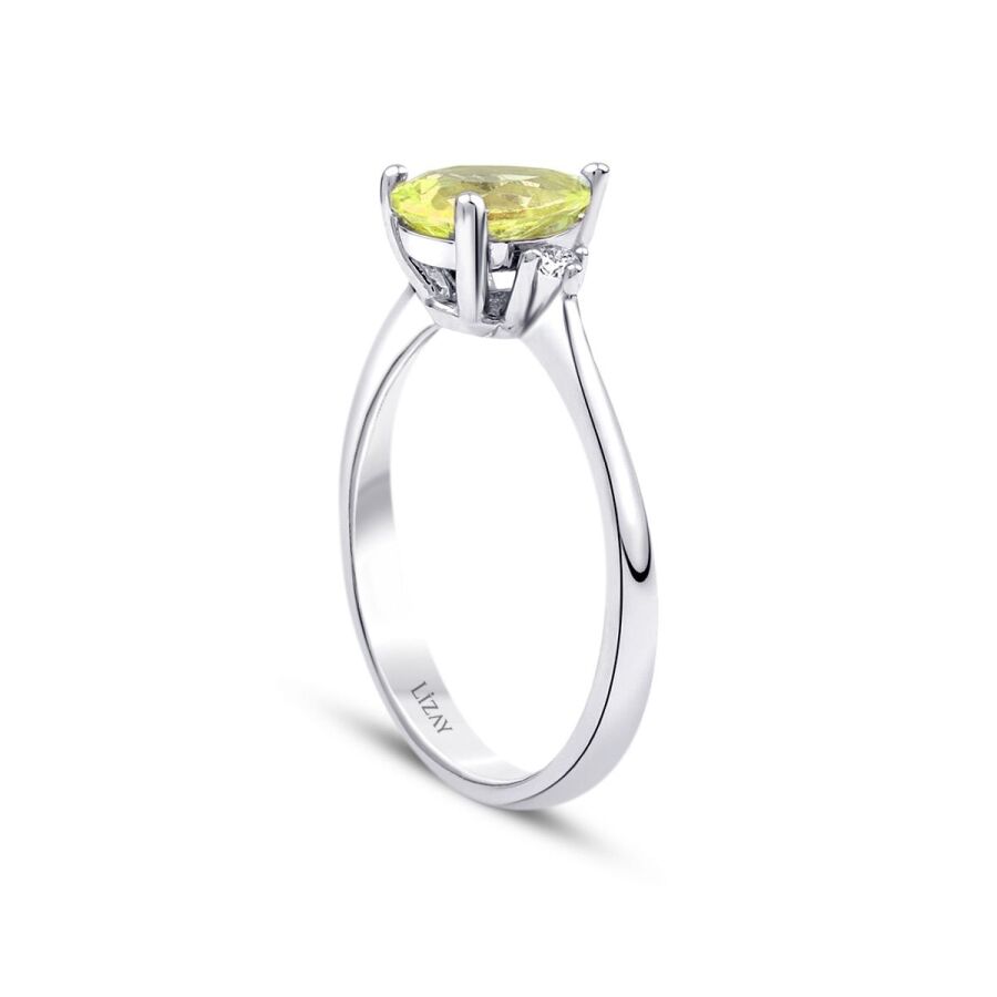 2.63 ct. Diamant Fantasie Ring