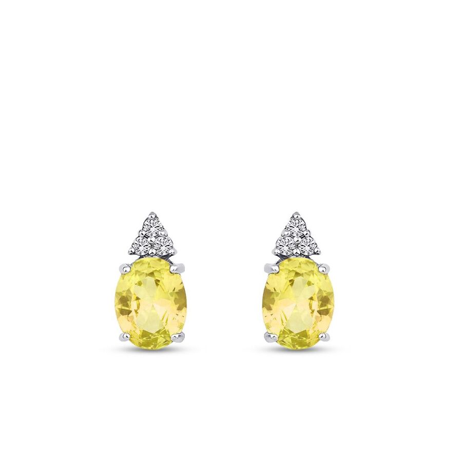 3,43 ct. Diamant Fantasie Ohrringe