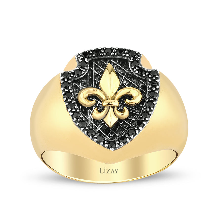 Herren-Ring mit Stein aus Gold