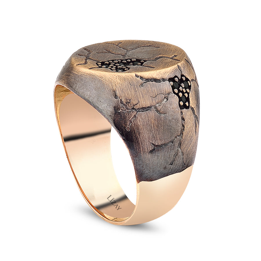 Herren-Ring mit Stein aus Gold