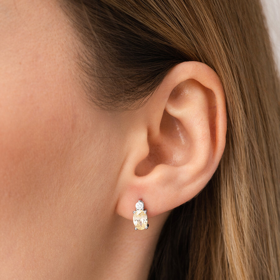 2,52 ct. Diamant Fantasie Ohrringe
