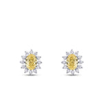 3,29 ct. Diamant Fantasie Oval-Stein Ohrringe