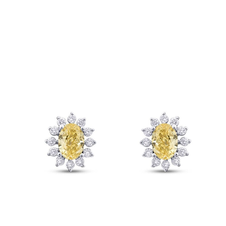 3,29 ct. Diamant Fantasie Oval-Stein Ohrringe