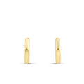 Gold Trend Creolen 