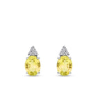 3.43 ct. Diamant Fantasie Ohrringe